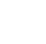 Audited by Contract Wolf
